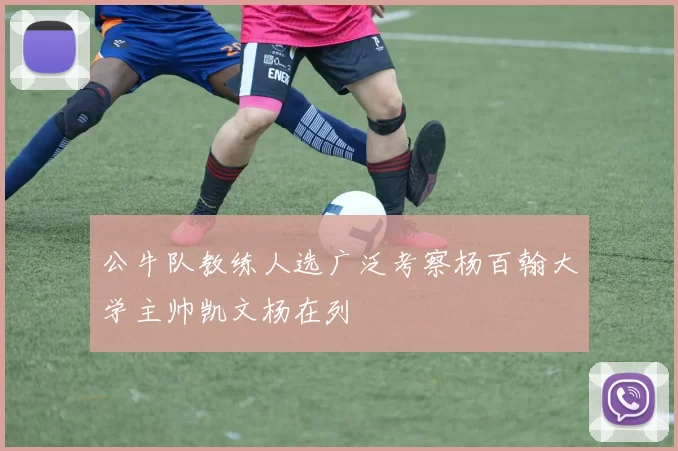 公牛队教练人选广泛考察杨百翰大学主帅凯文杨在列