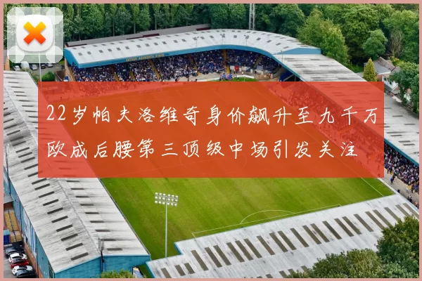 22岁帕夫洛维奇身价飙升至九千万欧成后腰第三顶级中场引发关注