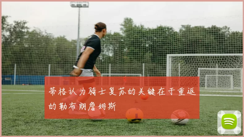 蒂格认为骑士复苏的关键在于重返的勒布朗詹姆斯